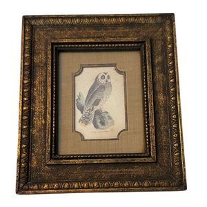Vintage Framed H. Hal Kramer Co. Cape Eared Owl